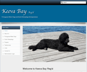 keevabay.com: Welcome to Keeva Bay Reg'd
Keeva Bay Portuguese Water Dogs, Breeders, Ontario, Canada,- Portuguese Water Dog puppies, breeder of Dutch Sheepdogs.