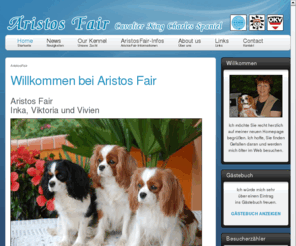 feldgitscher.com: Aristos Fair
Aristos Fair - Cavalier King Charles Spaniel