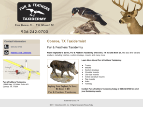 fur-n-featherstaxidermy.com: Taxidermist Conroe, TX
Fur & Feathers Taxidermy provides taxidermist service to conroe, TX area. Call for more information 936-242-0700. Anything From Elephants To Doves:  We Mount It All!