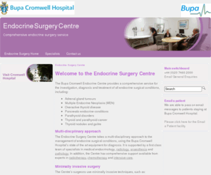 endocrinecentre.co.uk: Endocrine Surgery Centre >  Bupa Cromwell Hospital
Comprehensive endocrine surgery service