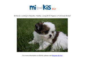 mi-kis.biz: Mi-Kis.biz: Looking for Beautiful, Healthy, Loving Mi-Ki Puppies or Full Grown Mi-kis?
Healthy Mi-kis, Mi-ki puppies, Adopt Mi-kis, Mi-kis for sale, Mi-kis are the best dogs, Full grown Mi-kis!