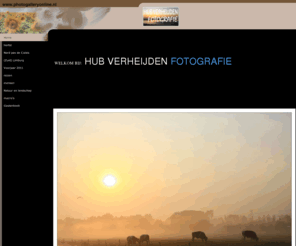 photogalleryonline.nl: Home
Fotograferen - Belladonna