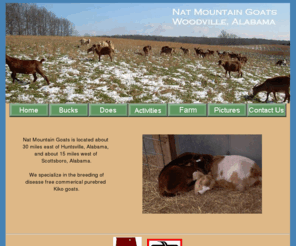 natmountaingoats.com: Nat Mountain Goats - Alabama KIKO Goats For Sale
We speciatlize in the breeding of Kiko Percentage Goats. Kiko goats for sale in Woodville, Alabama.