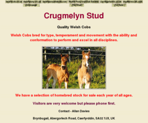 crugmelyn.com: Crugmelyn Stud. Quality Welsh Cobs.
Welsh Cobs bred for type, temperament and movement with the ability and conformation to perform and excel in all disciplines.