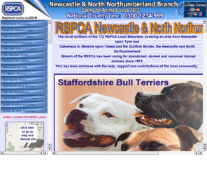rspca-northeast.org: rspca-northeast.org
RSPCA Northeast, RSPCA Newcastle & North Northumberland, local animal welfare