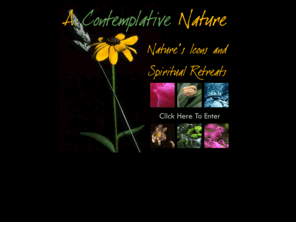 acontemplativenature.com: A Contemplative Nature - Nature's Icons and Spiritual Retreats Photography
John Holliger spiritual retreats and fine art prints of landscapes, flowers, deserts, mountains and oceans.