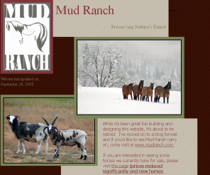 mudranchkigers.com: Mud Ranch Kigers: Kigers for Sale,  Kiger Mustangs for sale in California
Kiger Mustangs, Mustangs, horses for sale, stallion services, weanlings, yearlings and adult horses and more located at Mud Ranch Kigers in Lewiston, California. 