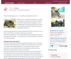 Site de chat gratuit a cotonou