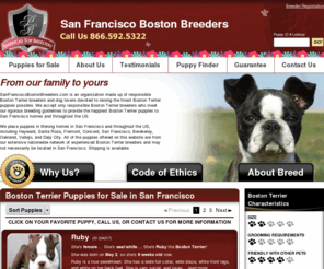 sanfranciscobostonterrierbreeders.com: San Francisco Boston Breeders.com
San Francisco Boston Breeders.com is a collection of caring Boston Terrier breeders and dog lovers devoted to producing the best Boston Terrier puppies possible.
