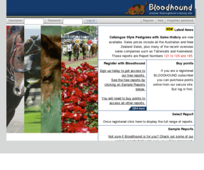bloodhound.net.au: Bloodhound
