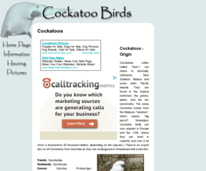 cockatoo-birds.com: Cockatoos
General resource of breeders, rescues, and clubs, including a selection of Cockatoo pictures and informational links.