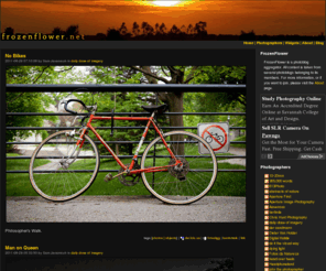 frozenflower.net: FrozenFlower - Homepage
