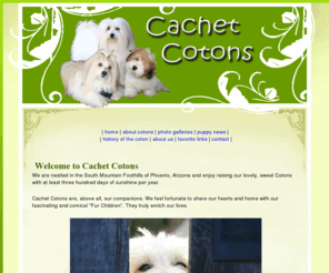 cachetcotons.com: Cachet Cotons - Home Page
Lovable Coton de Tulear Breed