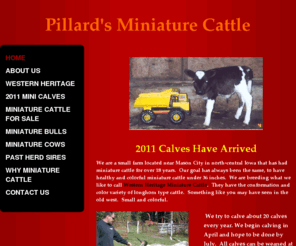 miniaturebull.com: Pillard's Miniature Cattle - Home
Dustin Pillard is a breeder of miniature cattle.  Our miniature cattle come in a variety of colors like Texas Longhorns. Miniature cows as small as 31 inches tall.  Miniature bulls as small as 32 inches tall.  Miniature calves as small as 17 lbs.