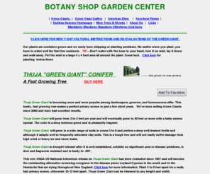 botanyshops.com: Thuja Green Giant Trees, a fast growing evergreen tree
Thuja Green Giant is becoming more and more popular among landscapers, growers, and homeowners alike. This hardy, fast growing, conifer makes a perfect privacy screen in just a few short years.> 
<meta name=