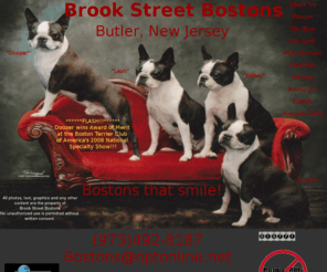 brookstreetbostons.com: index
