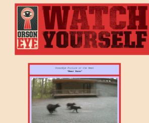 orsoneye.com: OrsonEye - Watch Youself
OrsonEye is a set of programs that let you automatically upload images from a survalence camera to Flickr. 