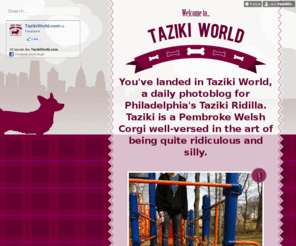 tazikiworld.com: Taziki World | Philadelphia Welsh Pembroke Corgi Daily Photoblog
Philadelphia Welsh Pembroke Corgi Daily Photoblog