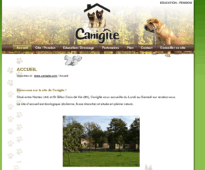 canigite.com: canigite.com-Accueil-Canigîte, un gîte/pension pour nos compagnons à quatre pattes : les chiens ! Situé à Legé, Christophe MARY soccupe deux en votre absence. Sur le chemin des vacances, pensez à lui confier votre chien.
