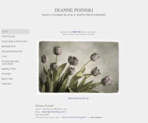 dpoinski.com: Dianne Poinski Photography
Hand-Colored Black & White Photography. Images & Workshops by Dianne Poinski