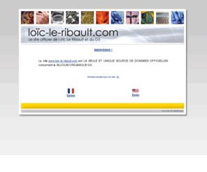 loic-le-ribault.net: www.loic-le-ribault.com - Le site de Loïc Le Ribault et du G5
Le site de Loïc Le Ribault et du G5