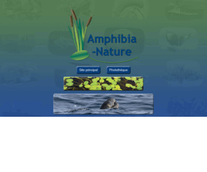 amphibianature.org: Amphibia-Nature
Professionnels de l'environnement offrant des services dans la recherche, les études d'impacts et la conservation de la biodiversité terrestre et marine.