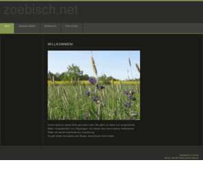 zoebisch.net: Start
Arvid's Homepage