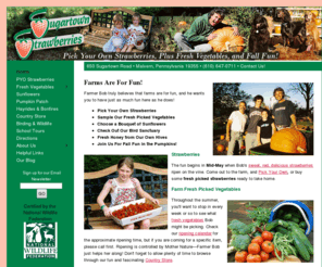 sugartownstrawberryfarm.com: Sugartown Strawberries and Fresh Vegetables Farm-Home Page, Malvern, Pennsylvania
Home Page for Sugartown Strawberries and Fresh Vegetables Farm, Malvern, Pennsylvania