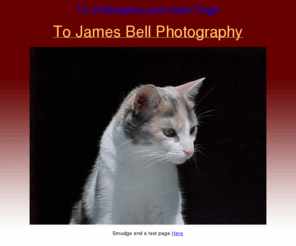 jimbospics.ca: James Bell Photography
James Bell Photography has been into Photography for almost 10 years.  Almonte, Ontario is just 20 minutes west of Ottawa, and is in the area loosely defined as Ottawa Valley.jimbospics