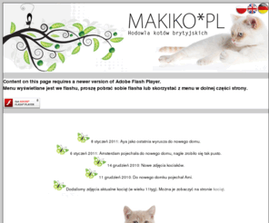 makiko.com.pl: Hodowla kotów brytyjskich Makiko*PL
