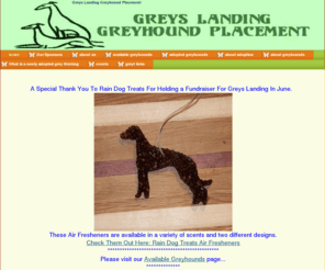 greyslanding.org: home - Greys Landing Greyhound Placement
Greys Landing Greyhound Placement, greyhound adoption
