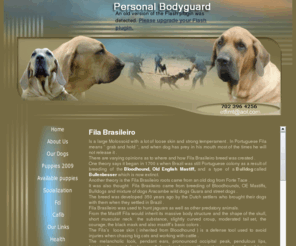 personalbodyguardfilas.com: Fila Brasileiro - breeder of fila brasileiro
Fila brasileiro dogs , fila brasileiro breeder located in Las Vegas ,fila brasileiro  puppies  