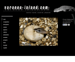 varanus-island.com: 
Varanus-Island.com, Private Hobbyzucht von australischen Zwergwaranen