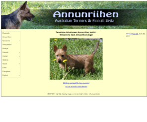 annunriihen.fi: Annunriihen Australian Terriers
