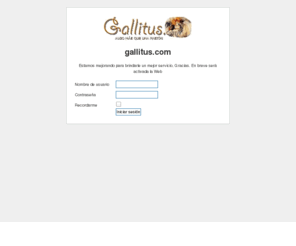 gallitus.com: Bienvenido a Gallitus.com
Gallitus.com, La web más completa sobre gallos de pelea