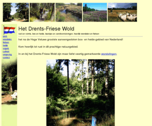 drents-friese-wold.nl: Het Drents-Friese Wold - rust en ruimte, bos en heide, heerlijk wandelen en fietsen.
Het Drents-Friese Wold - nationaal park