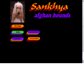 sankhyaafghans.com: Sankhya Afghans
Afghan Hounds, Show Dogs, Sighthounds, AKC Judging, Afghan Hound Clubs,