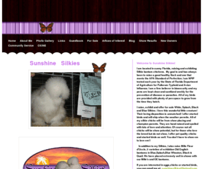 sunshinesilkies.com: Home -
silkie bantams