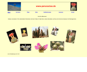 perucactus.de: www.perucactus.de
