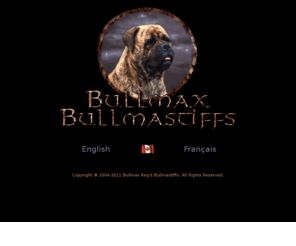 bullmaxbullmastiffs.com: Bullmax Reg'd Bullmastiffs
Élevage sélectif de Bullmastiffs situé au Québec, Canada. Excellant aussi bien en tempérament qu'en structure, type et santé. Selective breeding of quality bullmastiffs for soundness of mind and body from champion bloodlines