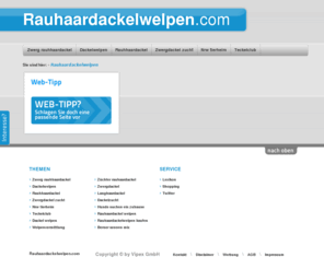 rauhaardackelwelpen.com: Rauhaardackelwelpen, zwerg rauhhaardackel, dackelwelpen - Rauhaardackelwelpen.com
