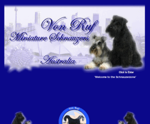 schnauzerzone.com: Schnauzerzone is the home of Von Ruf Miniature Schnauzers
The Schnuazerzone is the online home of Von Ruf Miniature Schnauzers.  Our services include breeding miniature schnauzers for pet and show, grooming schnauzers and stud dogs.  We have advice on all things schnauzer both in Australia and overseas.