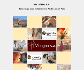 vicugna-sa.com: VICUGNA S.A. Tecnologia para la Ganaderia Andina en el Perú
Brindamos y Generamos Tecnología para la ganadería andina en el Perú. Ofrecemos materiales y equipos ganaderos importados de la mas alta calidad.