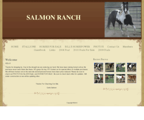 horsesorhorsepower.com: HOME - SALMON RANCH
Salmon Ranch Has Horses for Sale - Homozygous stallion ,Home of High Voltage Storm ,Street Rods and Show Cars for sale. Located in Hallsville Texas.