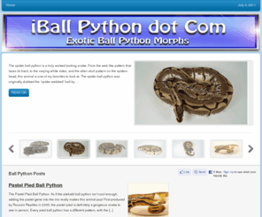 iballpython.com: iBall Python
iBall Python Breeder