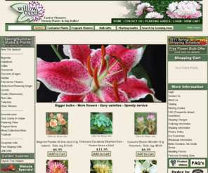 willowcreekgardens.com: Willow Creek Gardens
Big, healthy perennials, bigger and better flower bulbs colorful vines, oversized flower bulbs and pretty horticultural gifts. USDA hardiness zone information, complete planting guides and online/phone to help you be successful with our products.