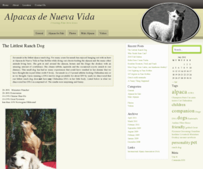 alpacasnv.com: Alpacas de Nueva Vida
Welcome to Alpacas de Nueva Vida where we are 'cria'ting finer new lives. Located in the coastal mountain region of Paso Robles, California.