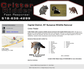 yourcritterridder.com: Nuisance Wildlife Removal Capital District, NY - Critter Ridder
Critter Ridder provides nuisance wildlife removal to Capital District, NY. Call 518-636-4299 for more information