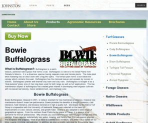 bowiebuffalograss.com:  Bowie Buffalograss 
Bowie Buffalograss is a favorite of Johnston Seed Company customers. Very easy to manage with predictable results. 