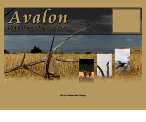 avalonhunt.com: Avalon Hunting Preserve, L.L.C. | Welcome
Utah's #1 source for pheasant hunting and pheasant hunting related information